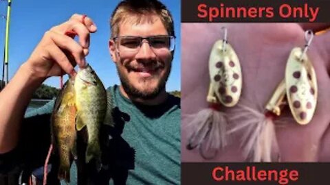 Fishing Challenge. Using Bullet Spinners Only. Can I Catch Catfish Bait.???