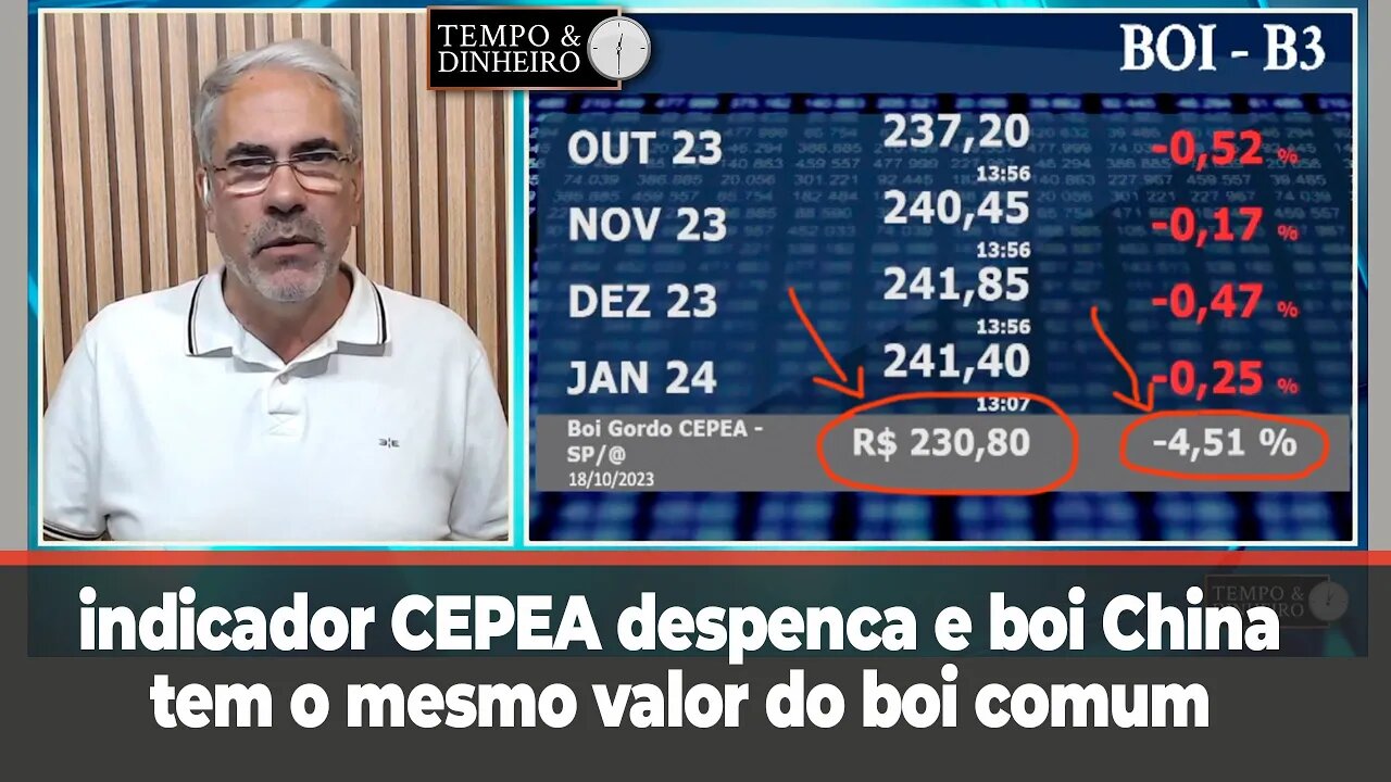 Boi gordo: indicador CEPEA despenca e boi China tem o mesmo valor do boi comum em SP ? Como assim?