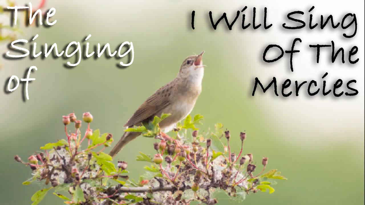 The Singing Of I Will Sing Of The Mercies -- Worship Chorus