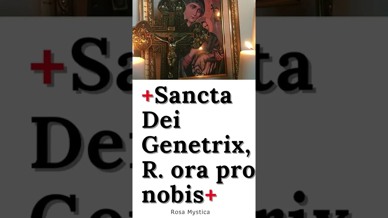 Sancta Dei Genetrix, ora pro nobis #shorts