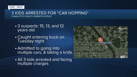 Three teens charged with felonies during 'car hopping' spree