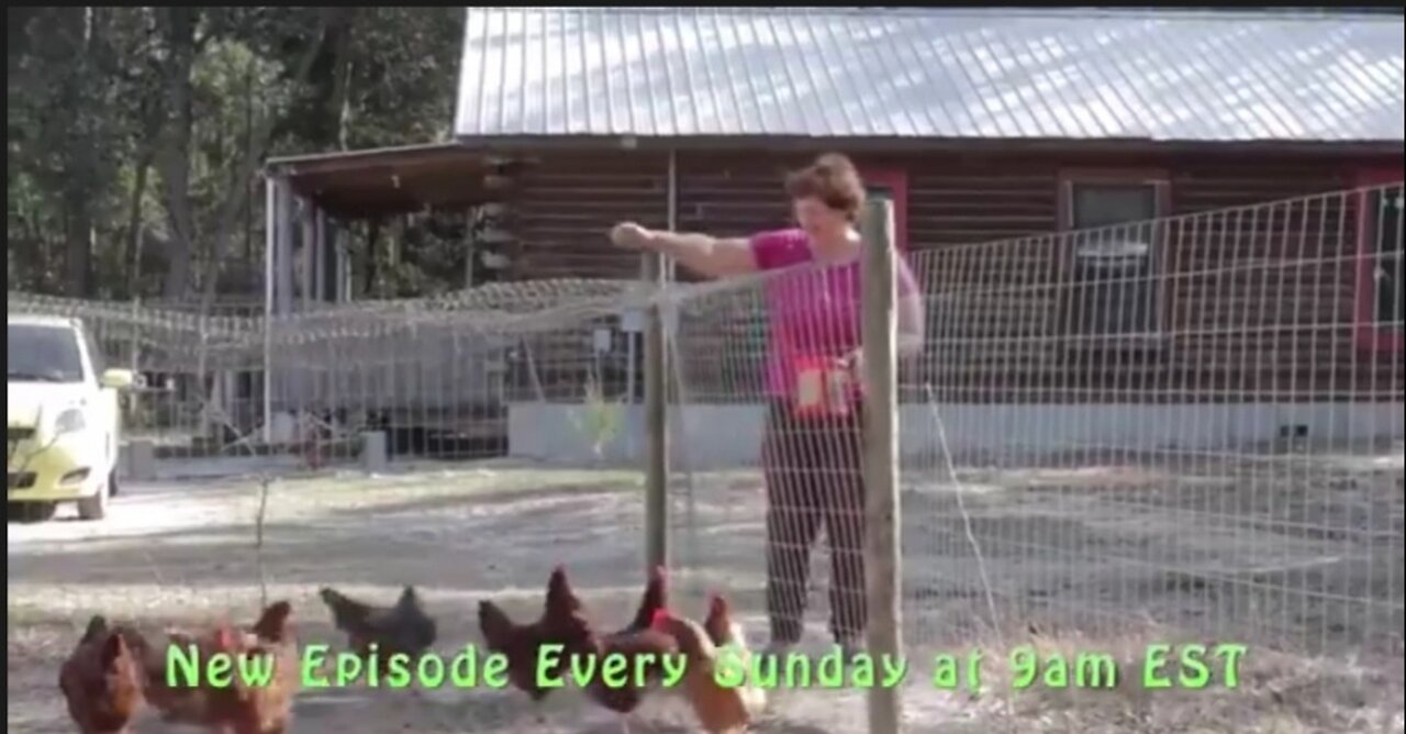 ONE WAY ANYONE CAN BUY LAND - BECKY SUNSHINE