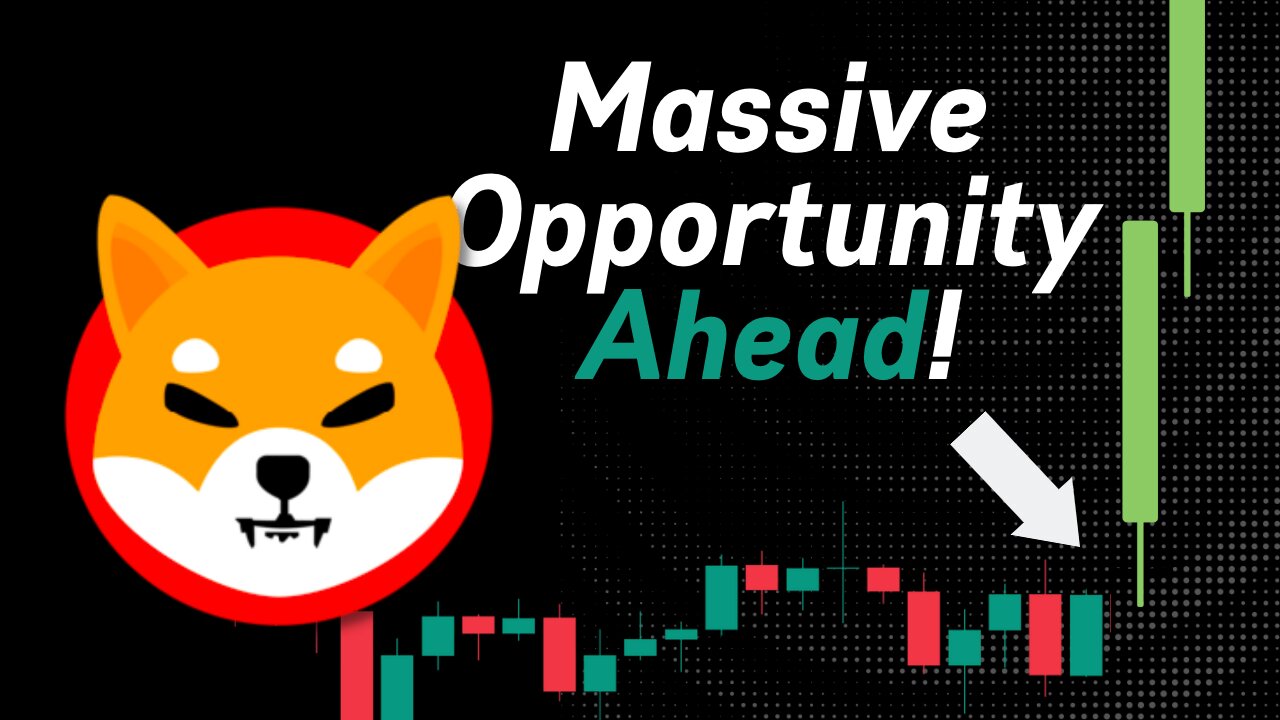 BIG OPPORTUNITY AHEAD FOR SHIBA INU! (SHIB PRICE PREDICTION)