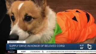 Supply drive in honor of beloved corgi