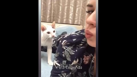 Funny pet videos #funnyanimals #catvideos #dogvideos #viral #lol #trynottolaugh