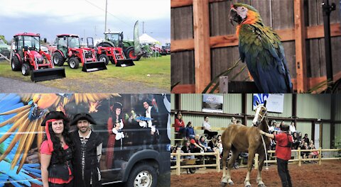perroquets à l'Exposition agricole