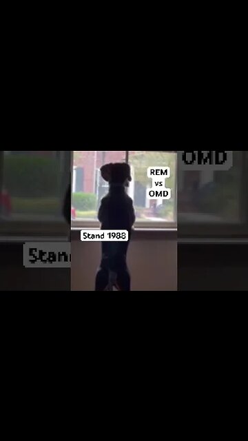 Which band did you like better? REM or OMD - Vote with your thumbs up ￼￼