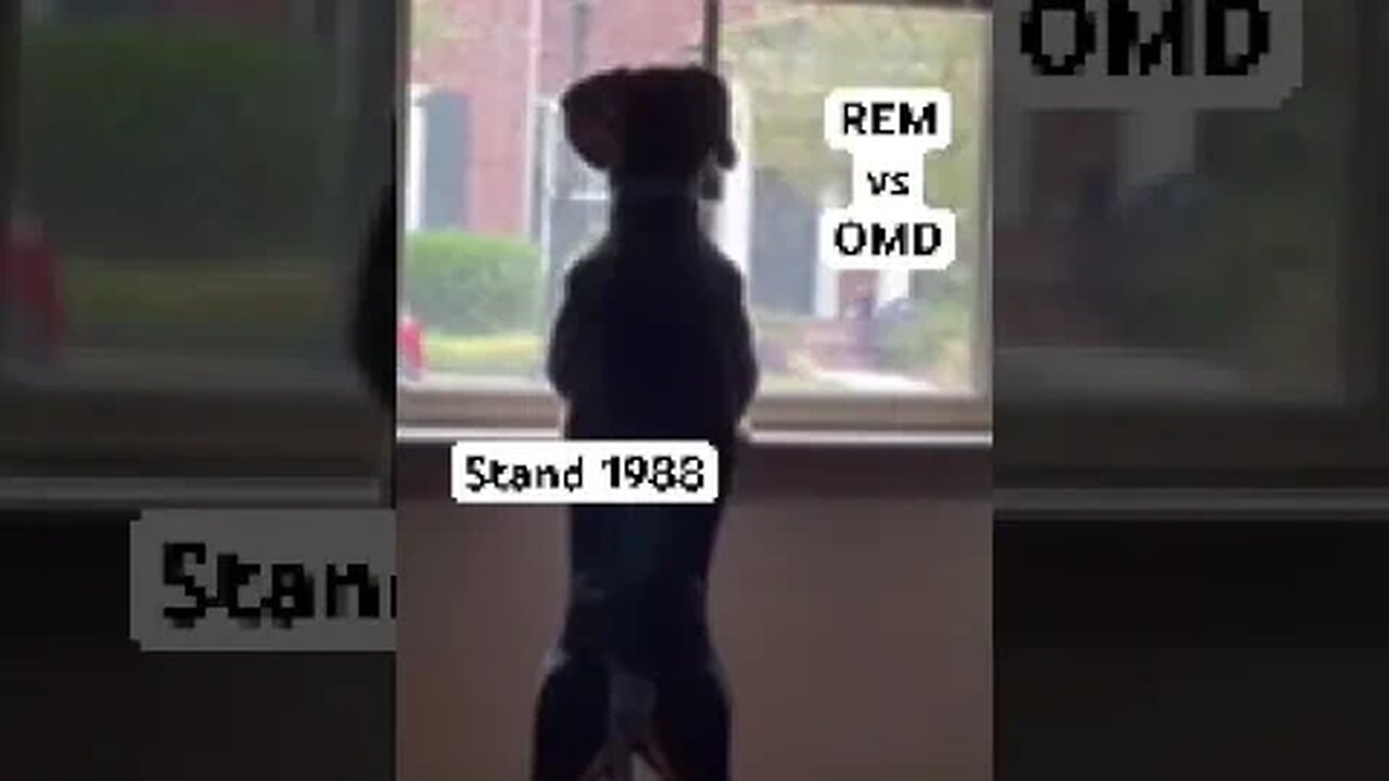 Which band did you like better? REM or OMD - Vote with your thumbs up 