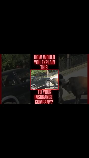 Who's Insurance Is Covering This 👀