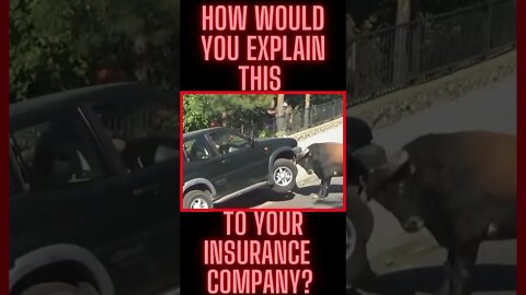 Who's Insurance Is Covering This 👀