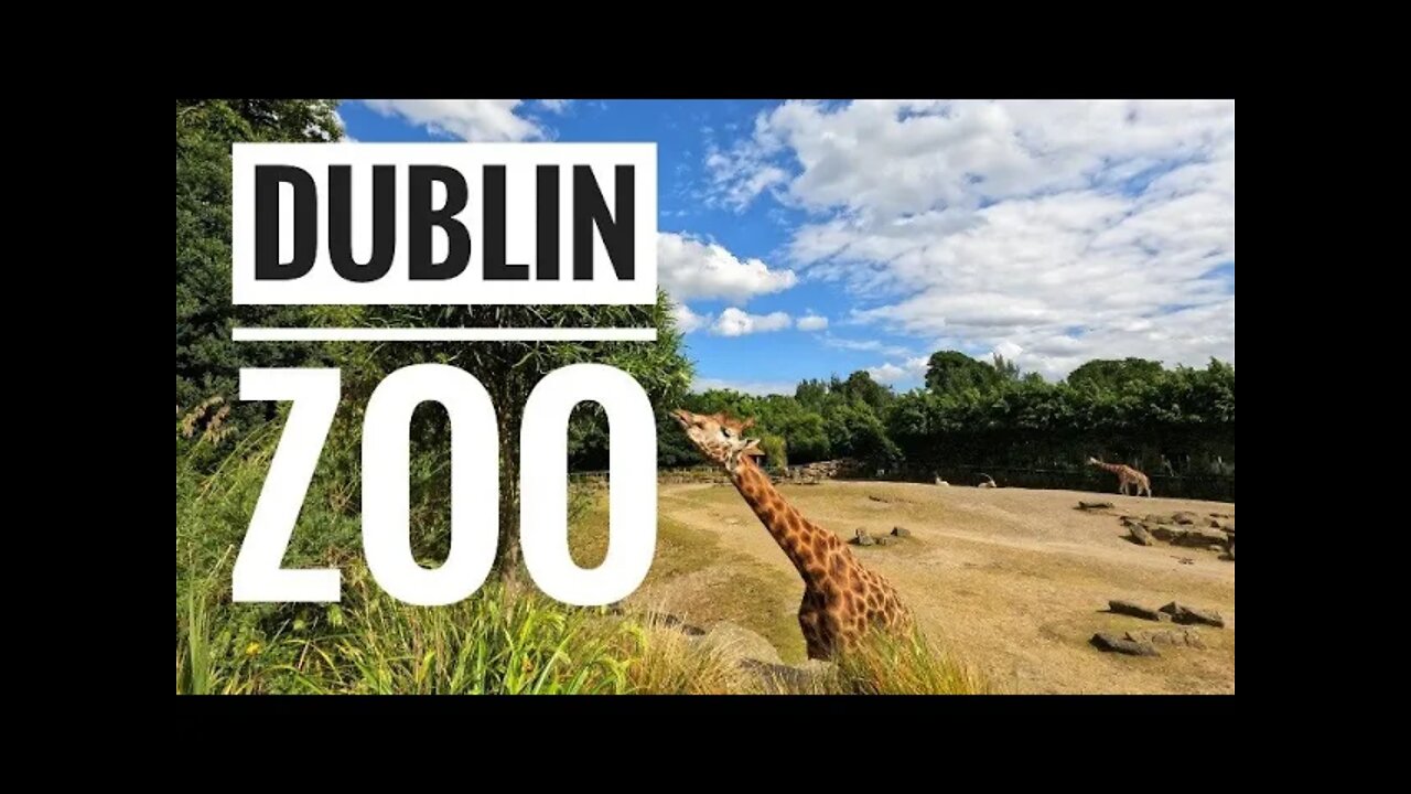 Phoenix Park - Part 2 - Dublin Zoo (4K)