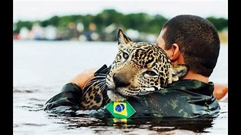 15 Animals that saved humans lives!