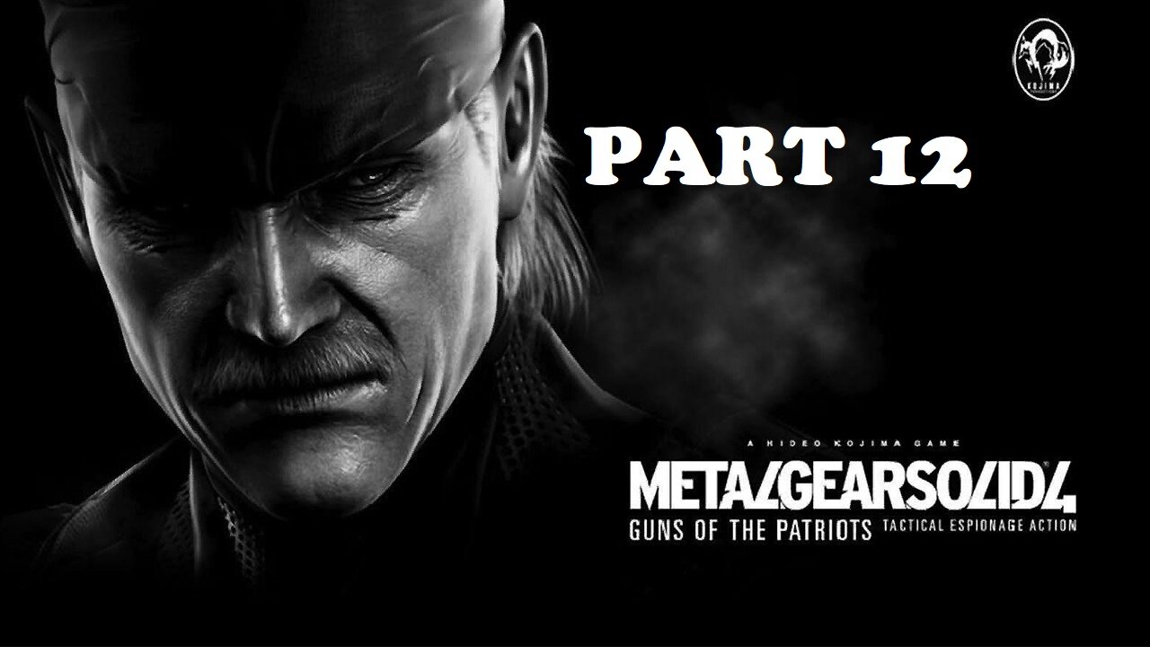 Metal Gear Solid 4 Guns of the Patriots Gameplay - No Commentary Walkthrough Part 12