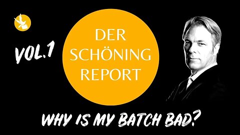 Schöning Report Vol 1 Why is My Batch bad