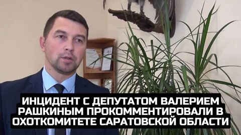 Инцидент с депутатом Валерием Рашкиным прокомментировали в охоткомитете Саратовской области