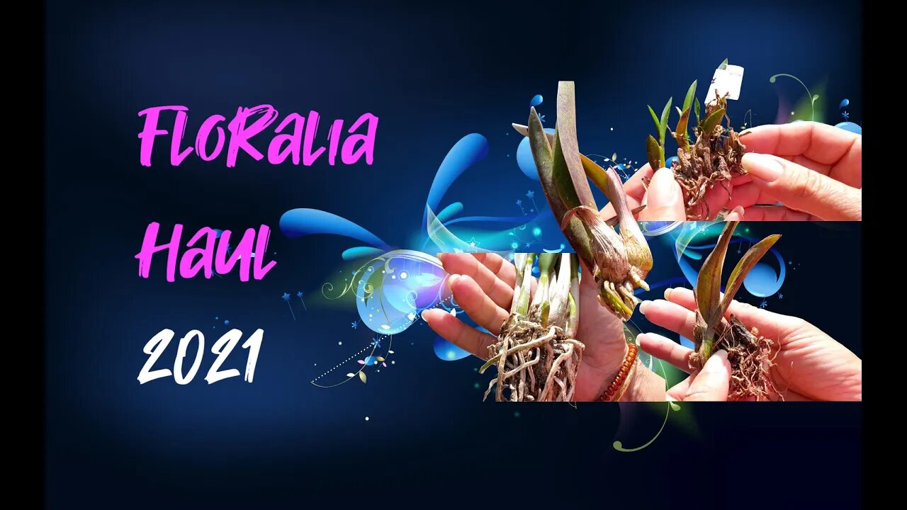 A loaded #unboxing | Horror Story | Rant | I have questions #Florália #Brazil