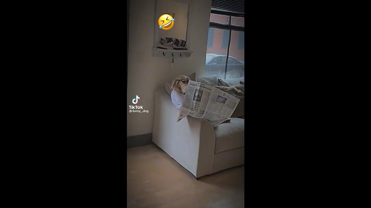 🗞️🗞️