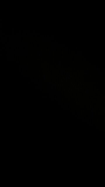 Children under a certain age