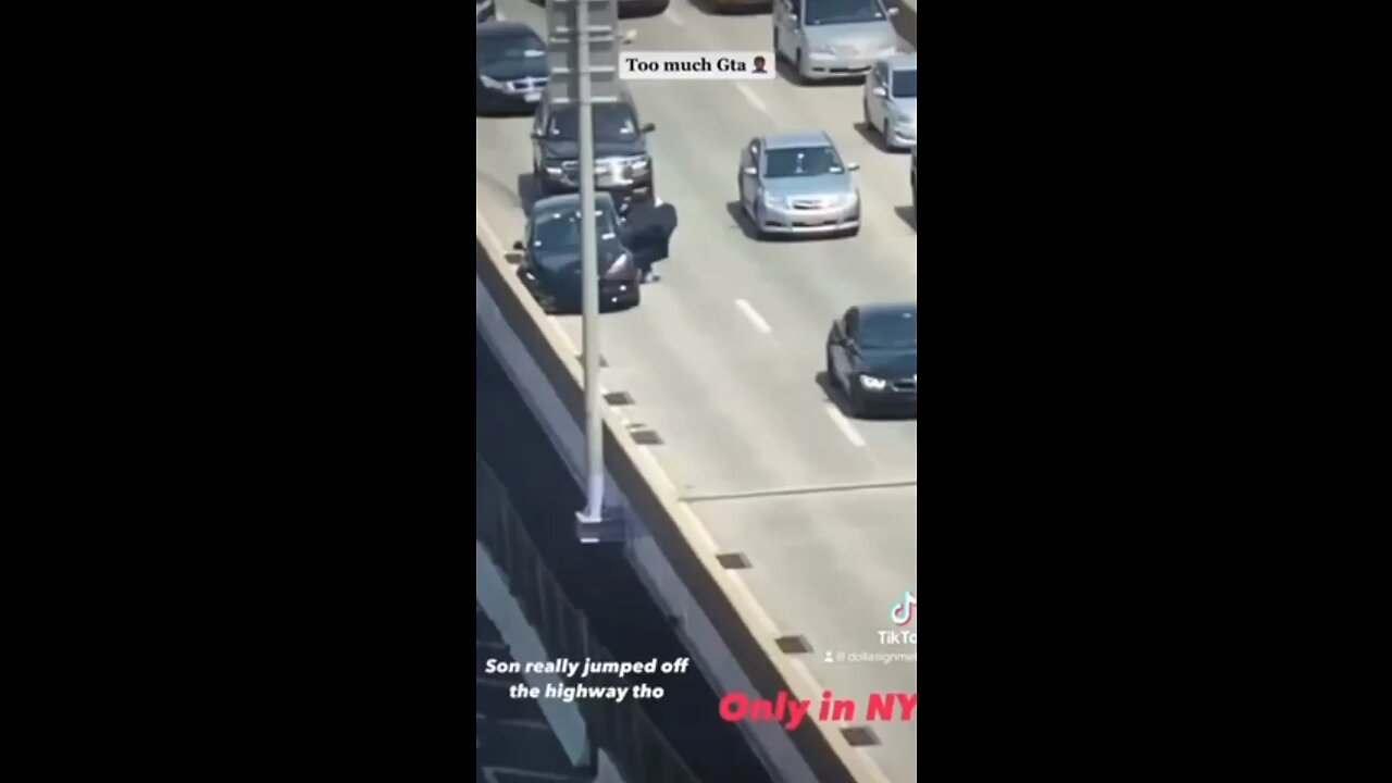 While wild or attempted carjackings the jumping of a bridge breaking his leg