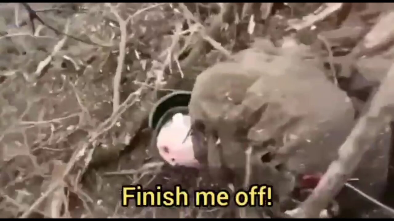 Artemovsk UA: Wounded Ukrainian 'Finish Me Off!, Kill Me!' 🚨 WARNING - Extremely Graphic Content