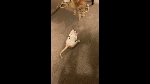 "Just gonna walk away from this one…"