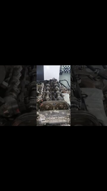 #shorts #2022 funny,prank,funjokes,dad jokes,funny memes,funny video,fun,laughing,funny animal,knock