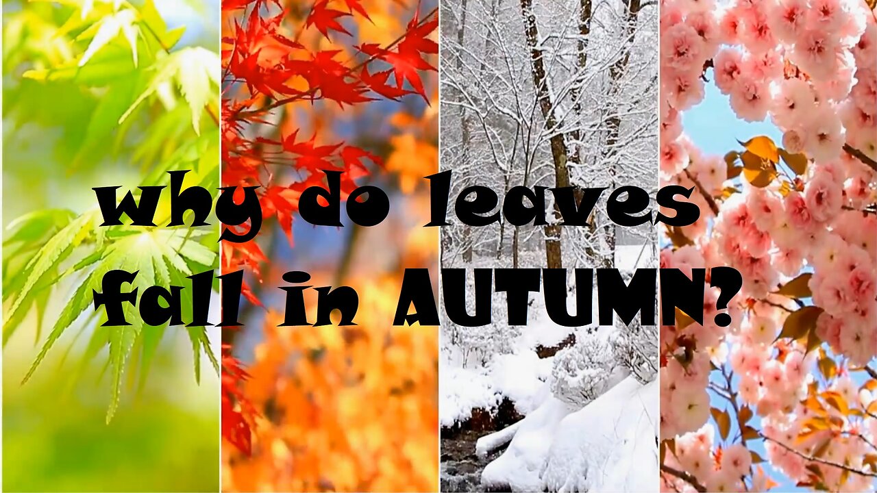 Why do leaves fall in autumn?