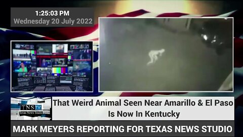 That Weird Animal Seen Near Amarillo & El Paso Is Now In Kentucky