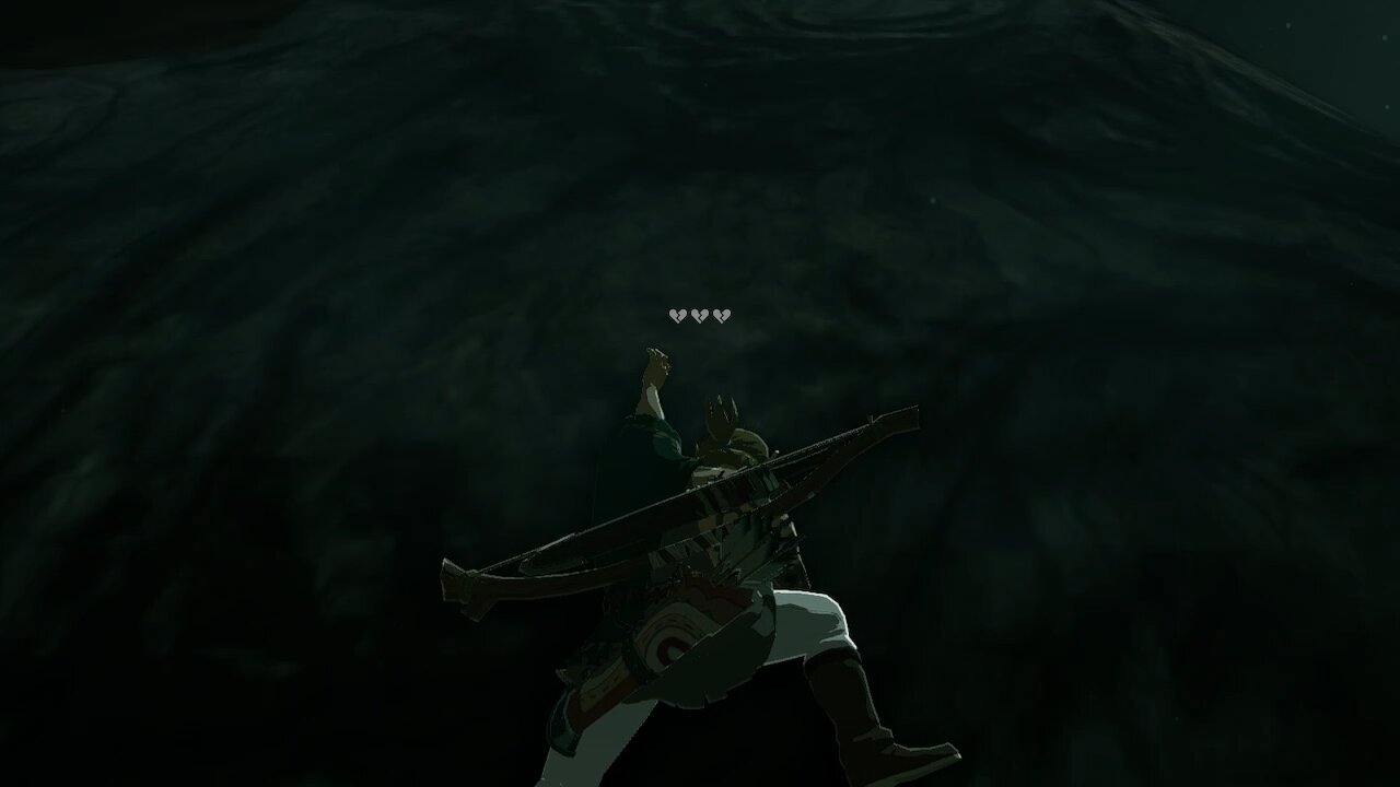 Bug On A Wall Named Link
