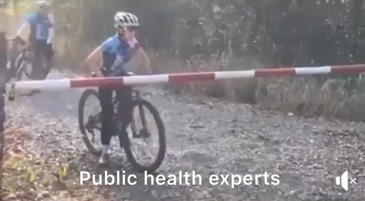 Public health experts