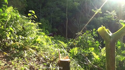 Build complete and warm survival shelter - bushwalk overnight in the wilderness)18