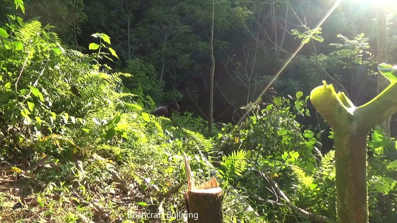 Build complete and warm survival shelter - bushwalk overnight in the wilderness)18