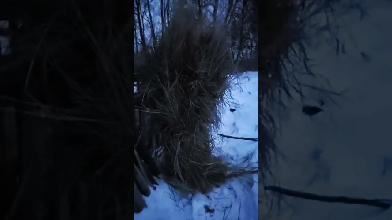 Hand Cut Hay