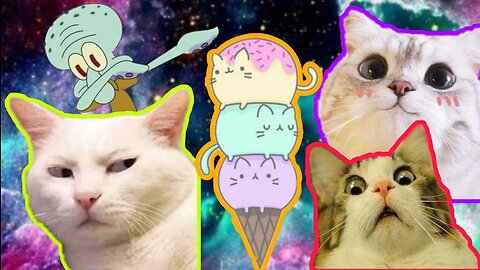 Funny cats part #7