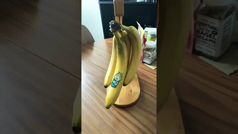 I JUST GOT A BANANA HOLDER 😊 #shorts #bananas #bananaholder #viral #ytshorts #youtubeshorts