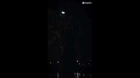 You gave up on me so easily🥺