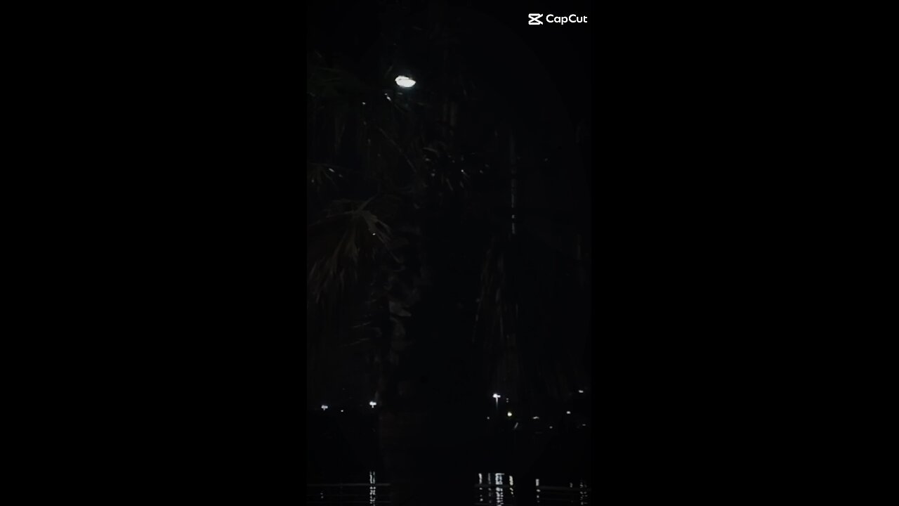 You gave up on me so easily🥺