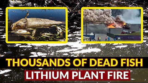 "THOUSANDS" OF DEAD FISH in critical watershed following Lithium Plant Fire. This is Our Future