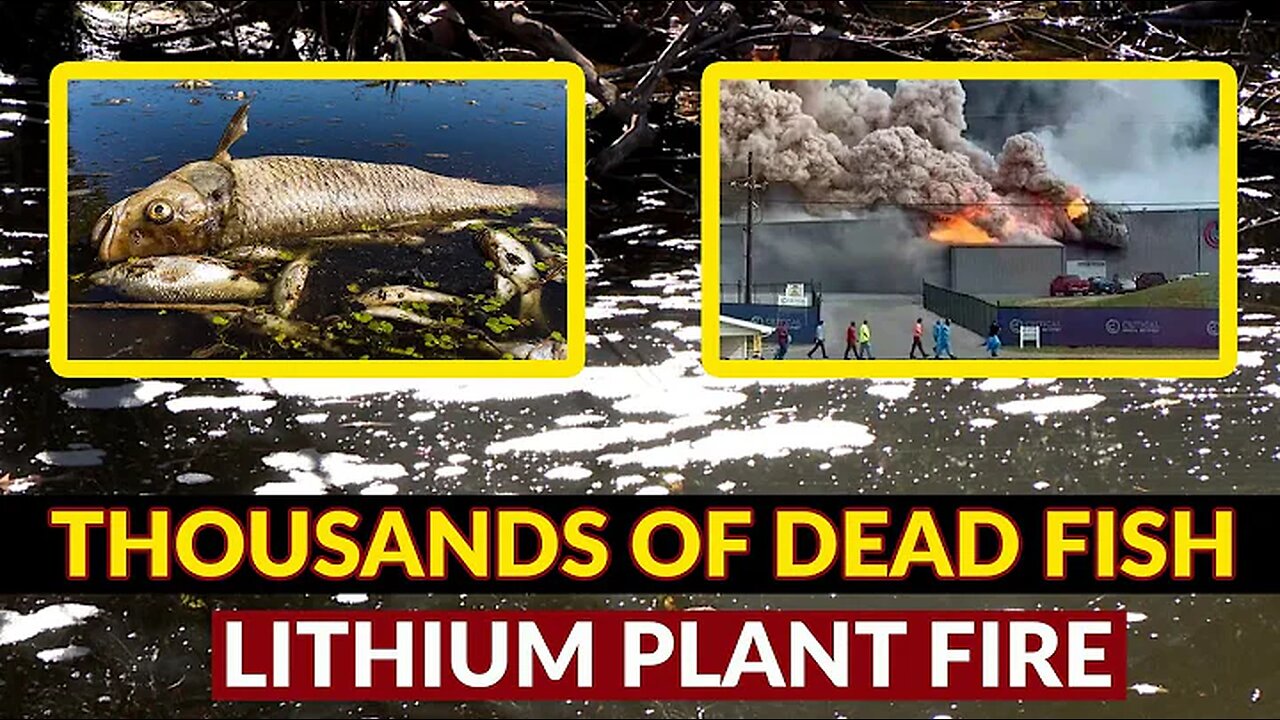 "THOUSANDS" OF DEAD FISH in critical watershed following Lithium Plant Fire. This is Our Future