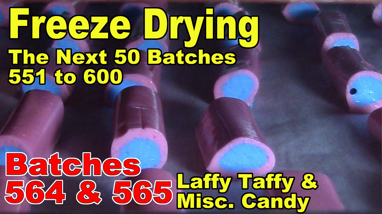 Freeze Drying - The Next 50 Batches - Batches 564 & 565 - Candy for #1 Child, Misc. Kinds