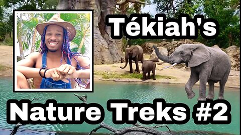 Nature Trek #2 | Disney's Animal Kingdom (Part 1)