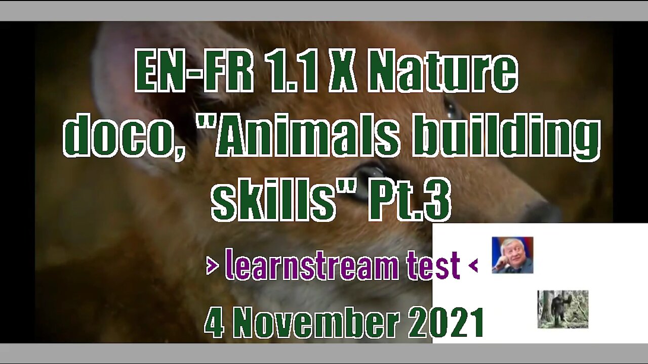 EN-FR 1.1 X Nature doco, "Animals building skills" Pt.3 | learnstream_TEST | 4 November 2021