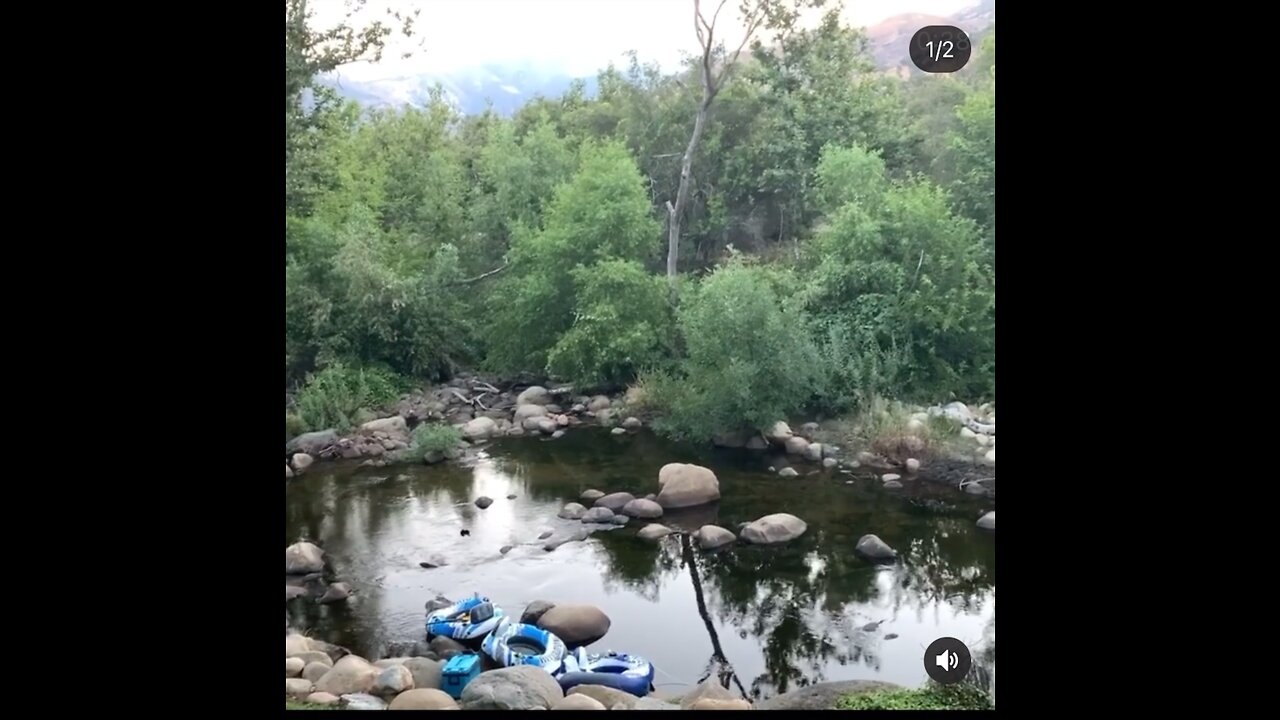 Kings River runs through backyard at our Airbnb