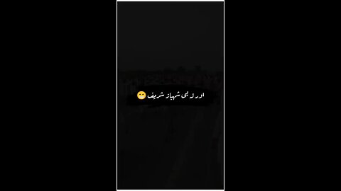 Imran Khan TAKES OVER Islamabad on TikTok?