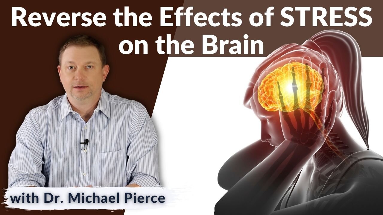 How to Reverse the Effects of STRESS on the Brain