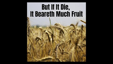 But If It Die, It Beareth Much Fruit