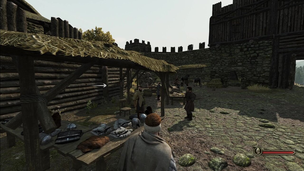 Mount and Blade 2 beginning A new life!