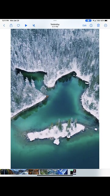 Look how beautiful the world is, if we just get rid of those parasites