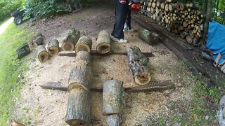 #171 Bucking Up A Few Logs
