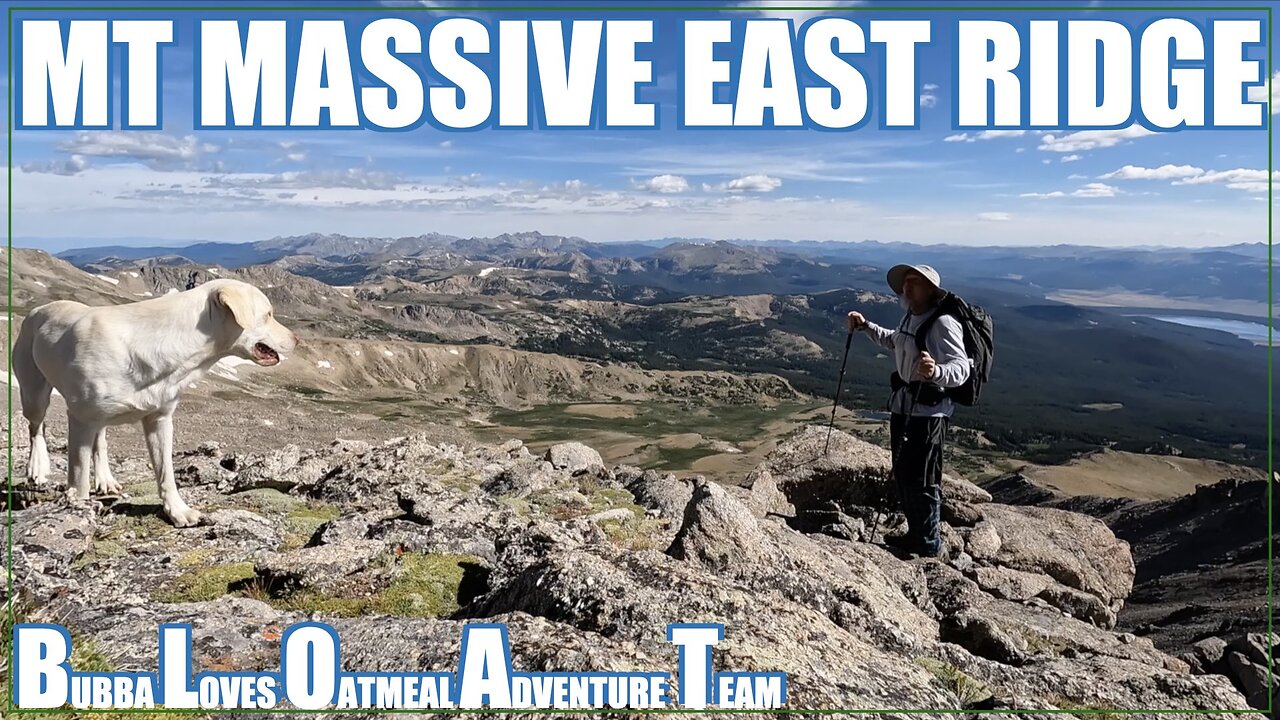 Mt Massive Colorado 14er East Ridge : Peak Bagging with my Dog